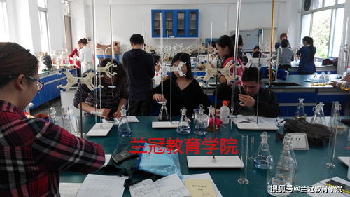 福建食品檢驗技術培訓與考證全攻略 報名渠道與流程詳解